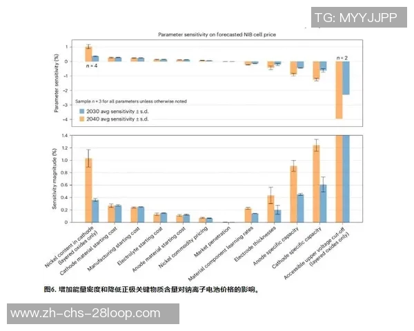 宝力高对比分析探讨其市场竞争力与发展潜力的全面评估